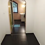 Pod Wiekowa Sosna *