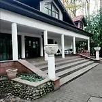 Pod Wiekowa Sosna