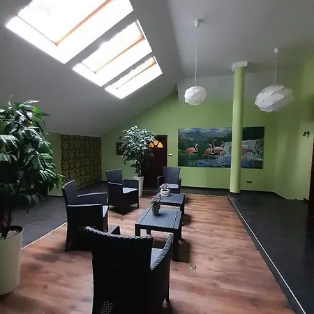 Wiekowa Sosna Zalesie Gorne