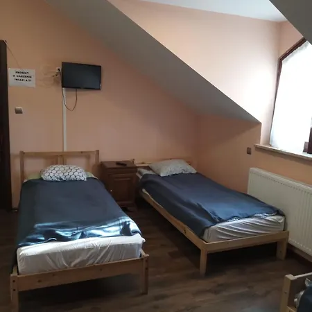 Wiekowa Sosna Zalesie Gorne