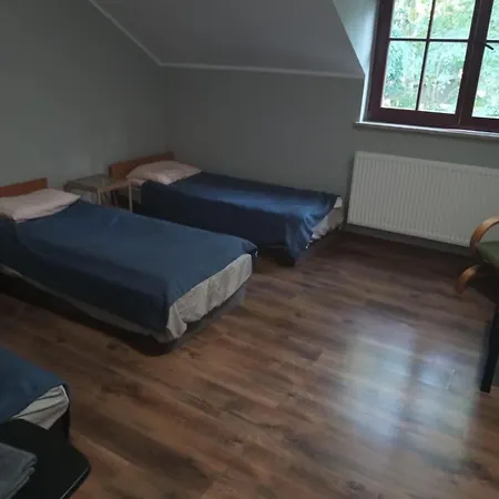 Wiekowa Sosna Zalesie Gorne