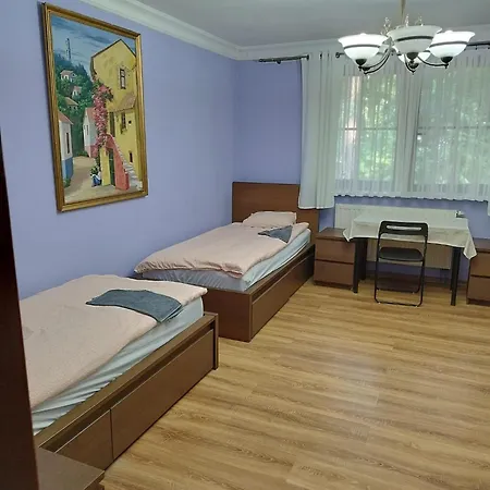 Wiekowa Sosna * Zalesie Gorne