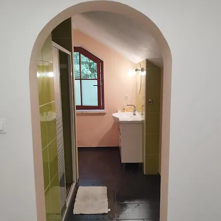 Wiekowa Sosna Kwatera prywatna