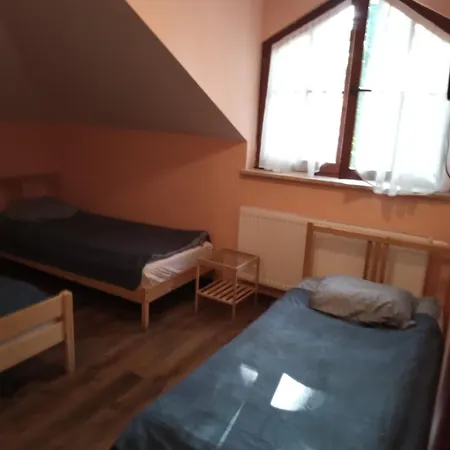 Wiekowa Sosna Zalesie Gorne