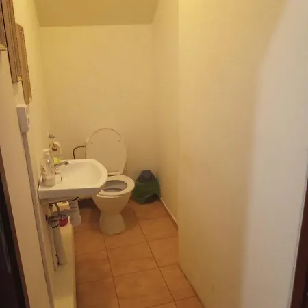 Kwatera prywatna Wiekowa Sosna *