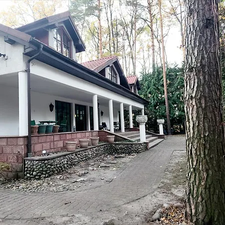 Pod Wiekowa Sosna