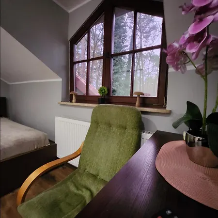 Hostal Pod Wiekowa Sosna Zalesie Gorne